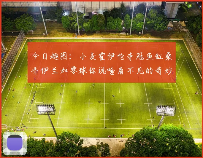 今日趣图：小麦霍伊伦夺冠鱼缸桑乔伊兰加零球你说啥看不见的奇妙瞬间